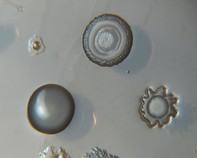 water bacteria water bacteria
